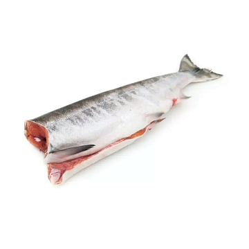 Фото Кета дальневосточная свежемороженая потрошеная без головы Вылов 2025г